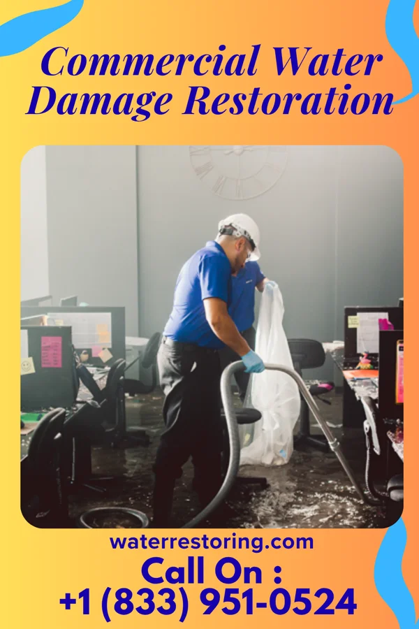 Commercial Water Damage Restoration in Roslyn, SD