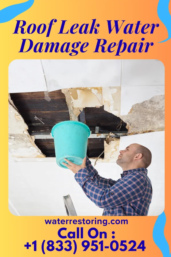 Roof Leak Water Damage Repair in Roslyn, SD