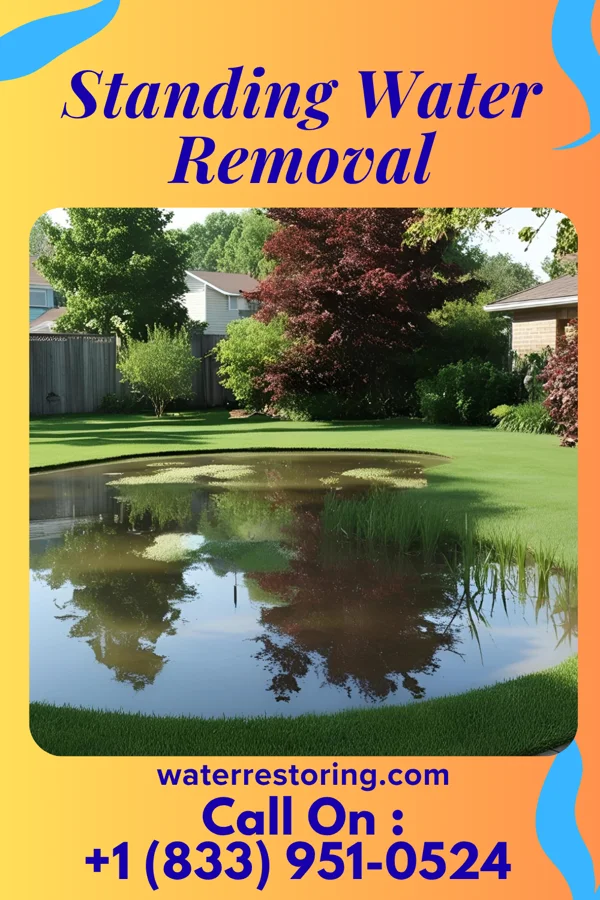 Standing Water Removal in Roslyn, SD